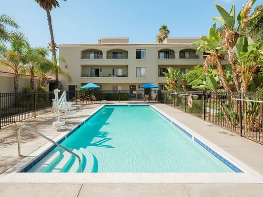 Outdoor pool area with chairs and greenery