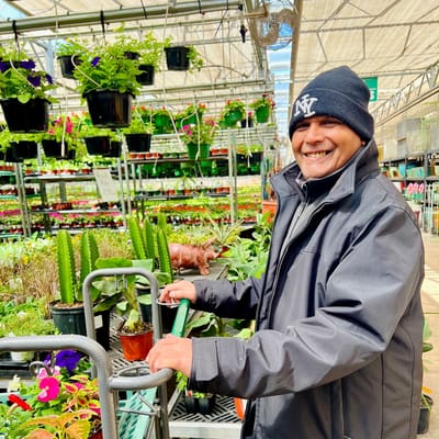 A worker tending to plants in a greenhouse