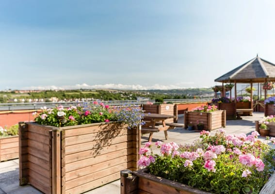 Beautiful outdoor garden space with flowers and gazebo