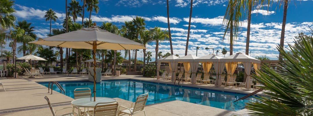Outdoor pool area with seating and palm trees