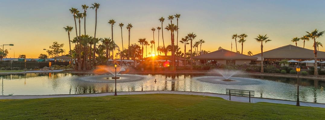 Scenic view of a pond at sunset with palm trees
