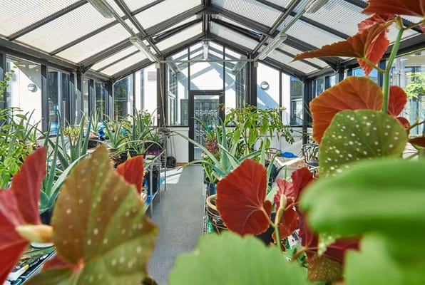 Indoor greenhouse filled with various plants