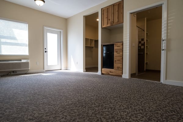 Spacious living room with a door to the outside, kitchenette area, and closet.