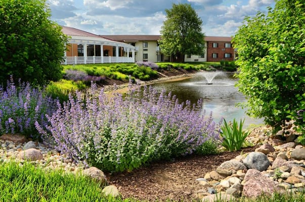 Beautiful outdoor space with a pond and flowers