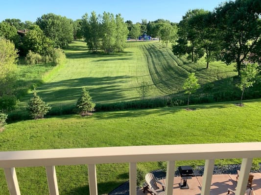 Lush green outdoor space with trees and open area