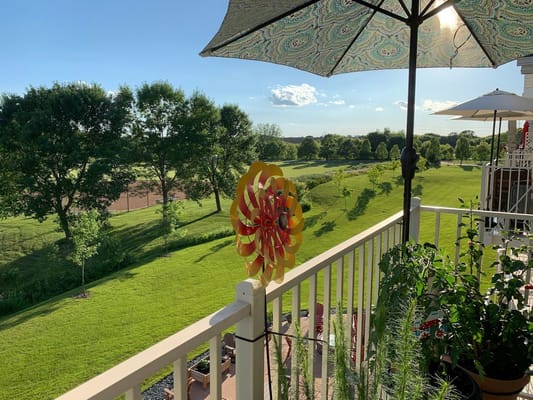 A vibrant outdoor view from a balcony with greenery