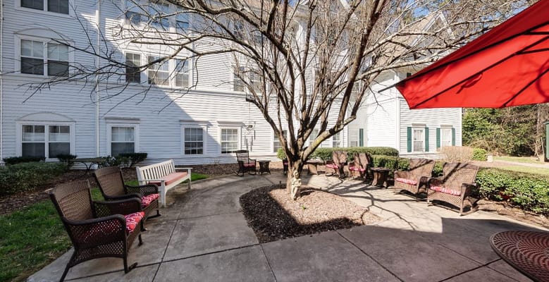 Outdoor seating area with chairs and trees