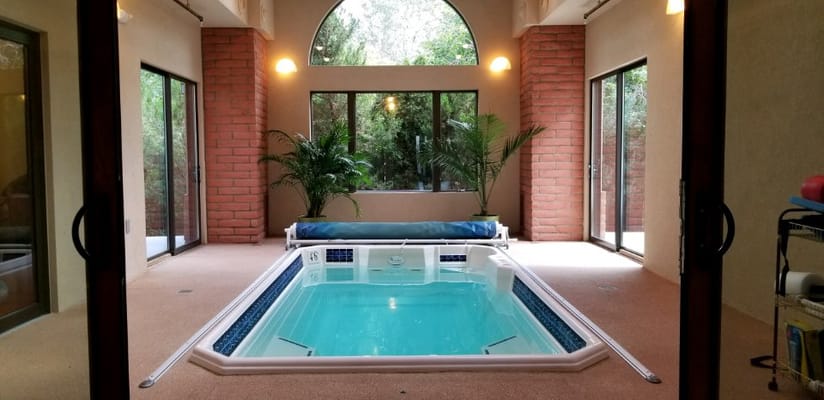 Indoor swimming pool surrounded by large windows and greenery
