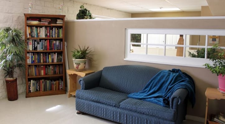 Lounge area featuring a blue sofa, bookshelf, and potted plants.