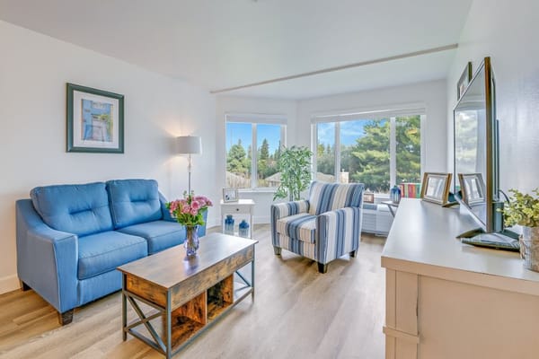 Bright living room with a blue couch and striped chair near windows
