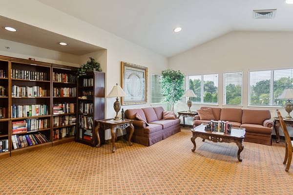 Comfortable living room with sofas, bookshelves, and lamps
