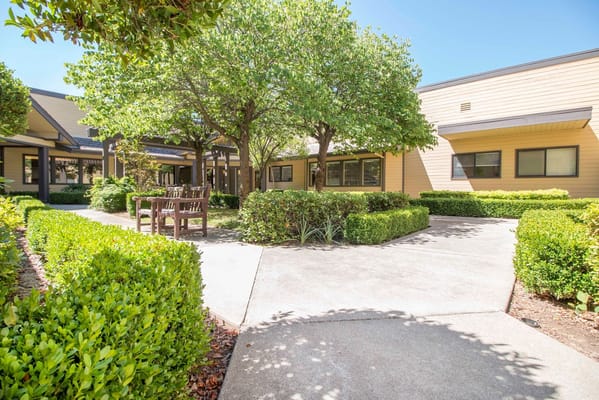 A sunny courtyard with seating and green landscaping.