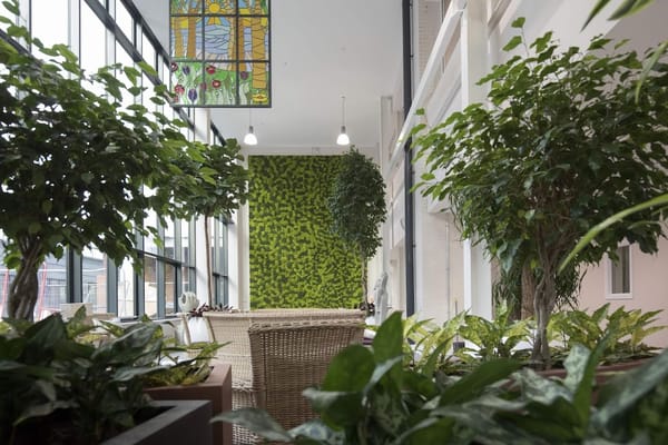 Indoor seating area with greenery and stained glass window.