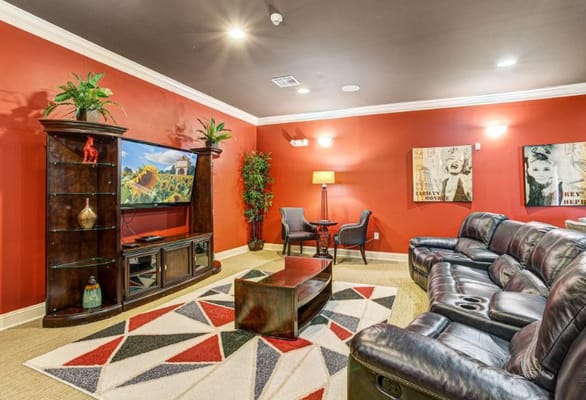 Lounge with leather seating, TV, and decorative elements