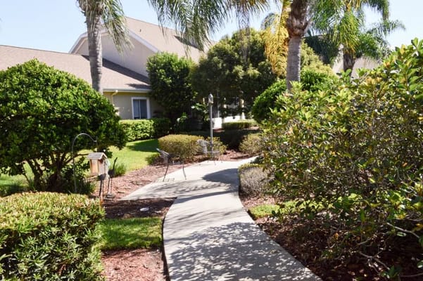 Pathway through a landscaped garden with palm trees