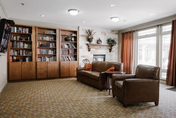 Cozy interior living room with bookshelves and seating