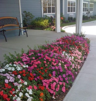 Colorful flower beds outside a senior living facility