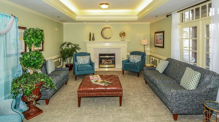 Comfortable living room with sofas and fireplace