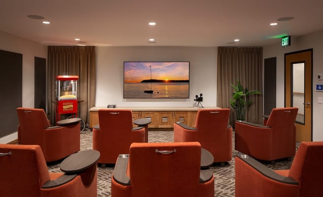 Cozy movie theater setting with plush seating