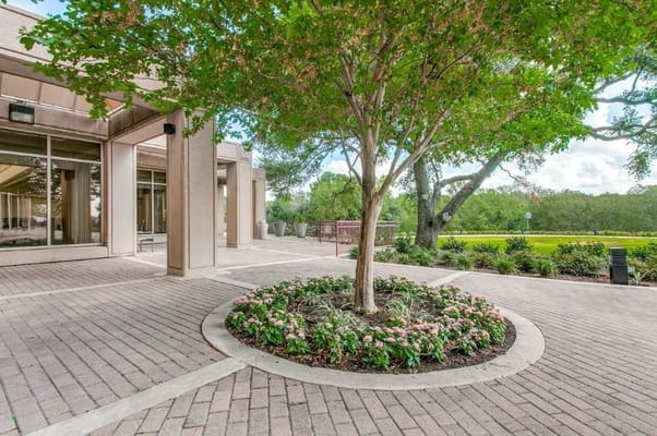 Beautiful landscaped outdoor space with a tree and flowers