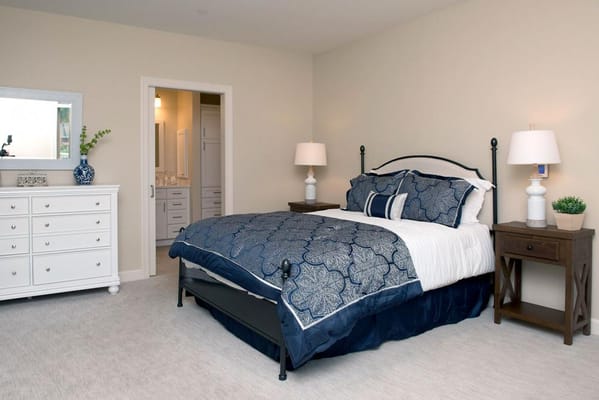 Cozy bedroom featuring a bed with a navy blue patterned comforter and white furnishings.