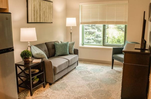 A well-lit living room featuring a gray sofa, decorative pillows, and a window view.