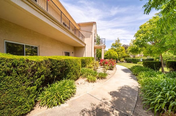 Curved pathway lined with greenery at Vista Harden Ranch