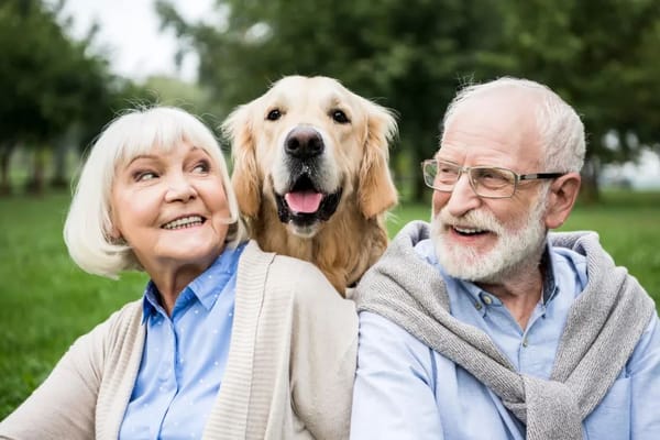 Elderly couple smiling with a dog in a park