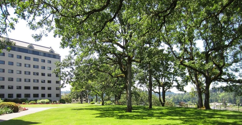 Outdoor view of the facility with trees and landscaping
