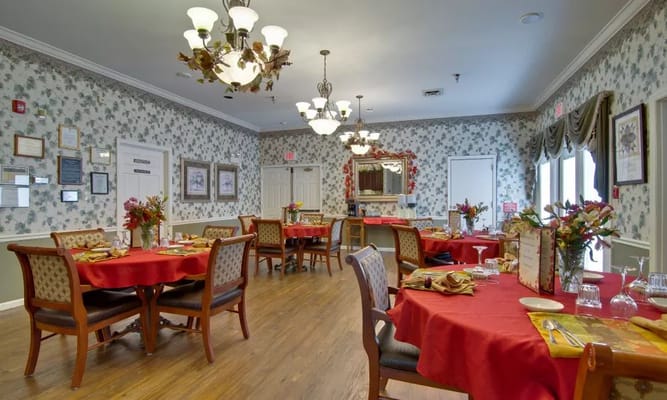 Bright dining room set for a meal service