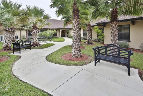Pathway through a landscaped courtyard with palm trees and benches.