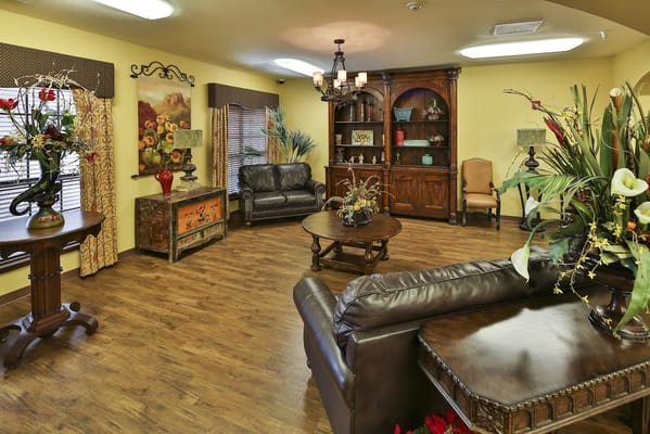 A cozy living area with leather couches, decorative plants, and a wooden bookshelf.