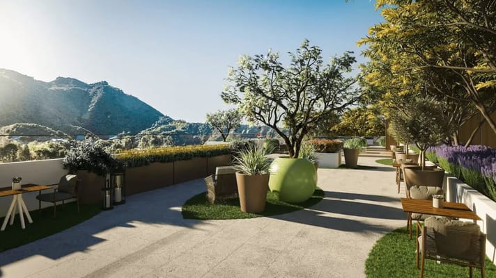 Outdoor patio area with plants and seating