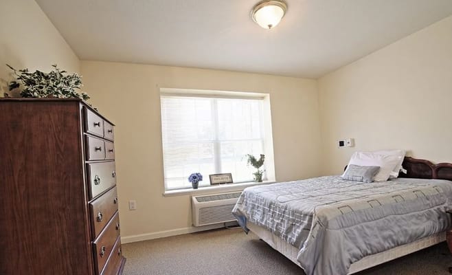 Bright bedroom featuring a bed, dresser, and window with plants.