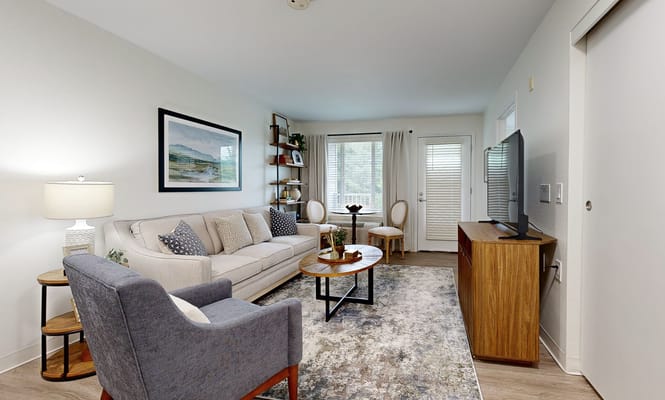 Cozy living room in a welcoming apartment setting