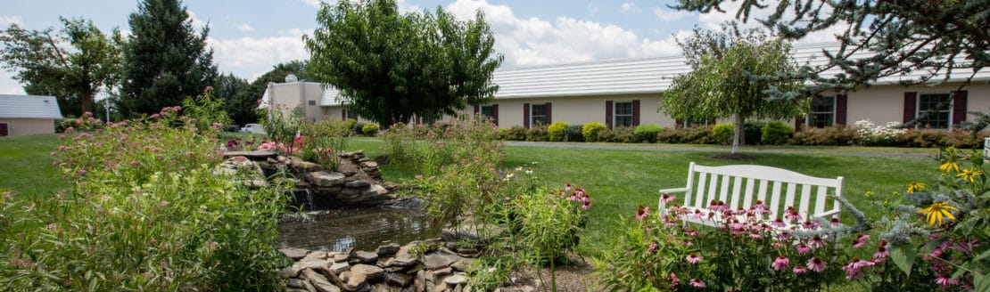 Beautiful outdoor garden area with seating and flowerbeds