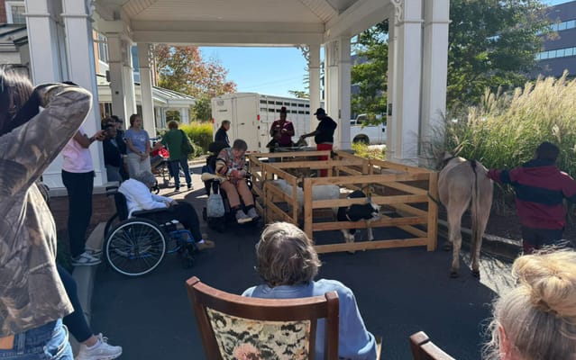 Residents enjoying an outdoor petting zoo event