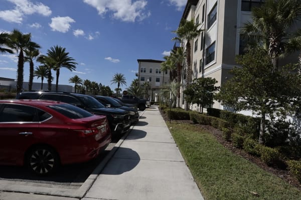 View of the parking lot surrounded by palm trees and landscaped shrubs.