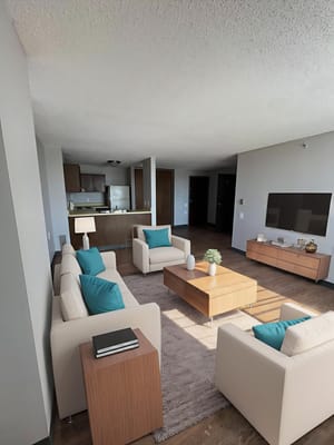 Bright interior living area with modern furniture