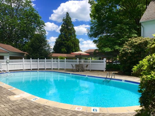 A clear view of a swimming pool surrounded by greenery