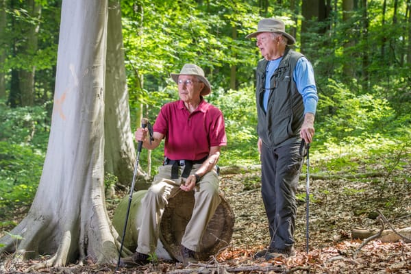 Two seniors enjoying a walk in the woods