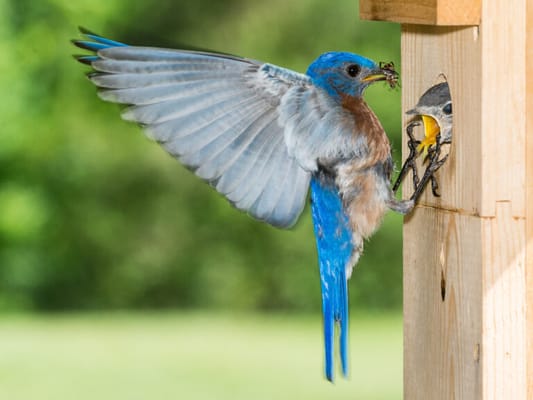 Kendal-Crosslands Communities