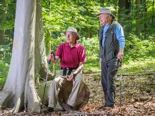 Two senior men enjoying nature in a forest