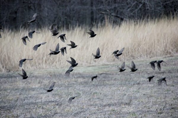 Kendal-Crosslands Communities