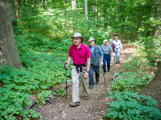 Residents hiking along a wooded trail with walking sticks