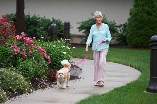 A resident walking a dog along a garden path