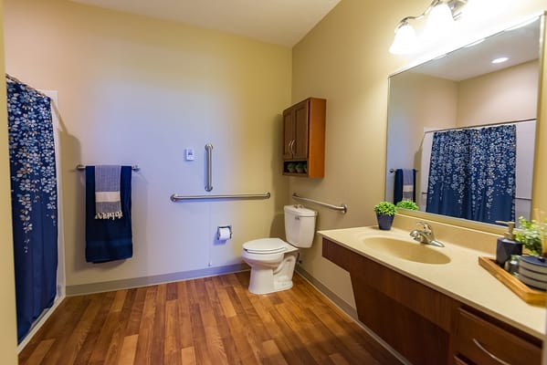 Accessible bathroom with modern fixtures and decor