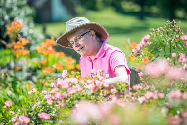 An elderly woman gardening among colorful flowers