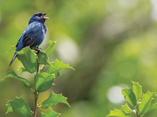 Kendal-Crosslands Communities