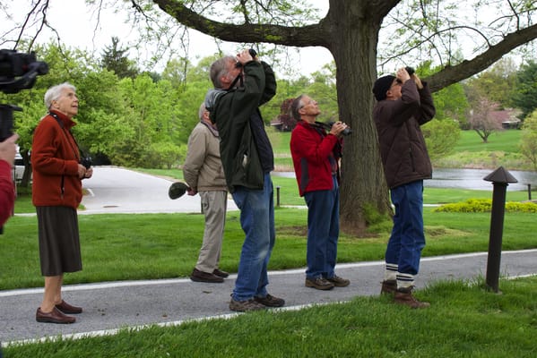 Residents enjoying a nature walk and birdwatching